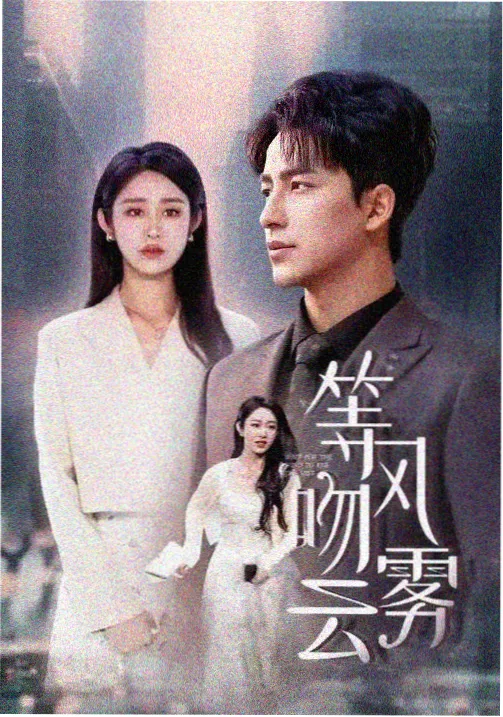无声证人剧集海报